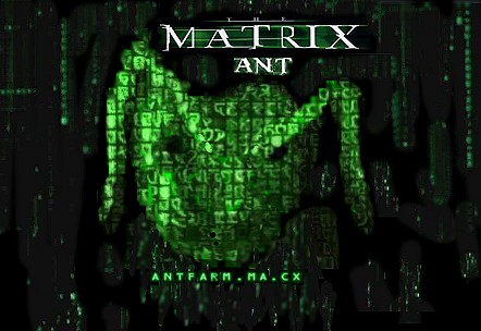 The Matrix Ant Thumbnail