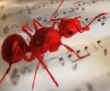 An ant on a music sheet