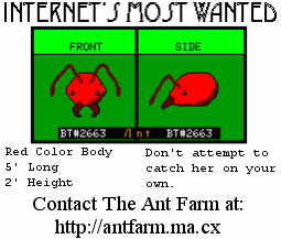 Internet's Most 
Wanted