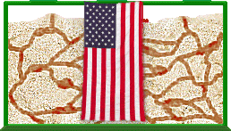 Click here to magnify your view on The Ant Farm and to continue.